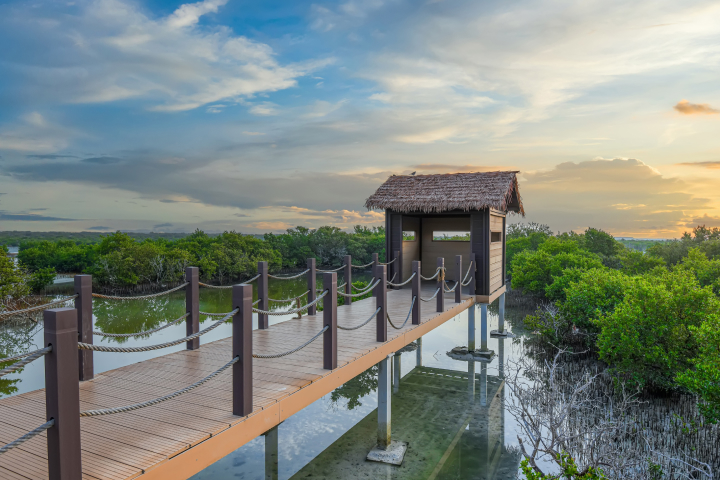 8 استراحة من الدوحة؟ 8 رحلات قصيرة إلى الأماكن غير المشهورة في قطر