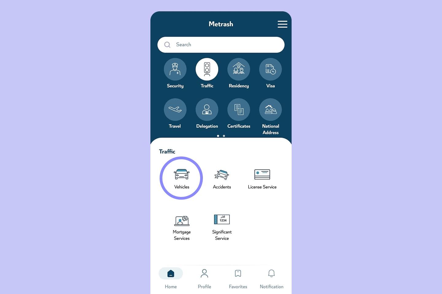 How to Сheck Traffic Violations 4