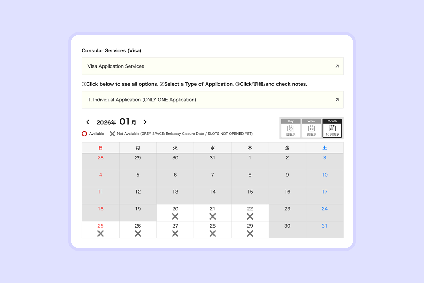 Japan visa from Qatar 4