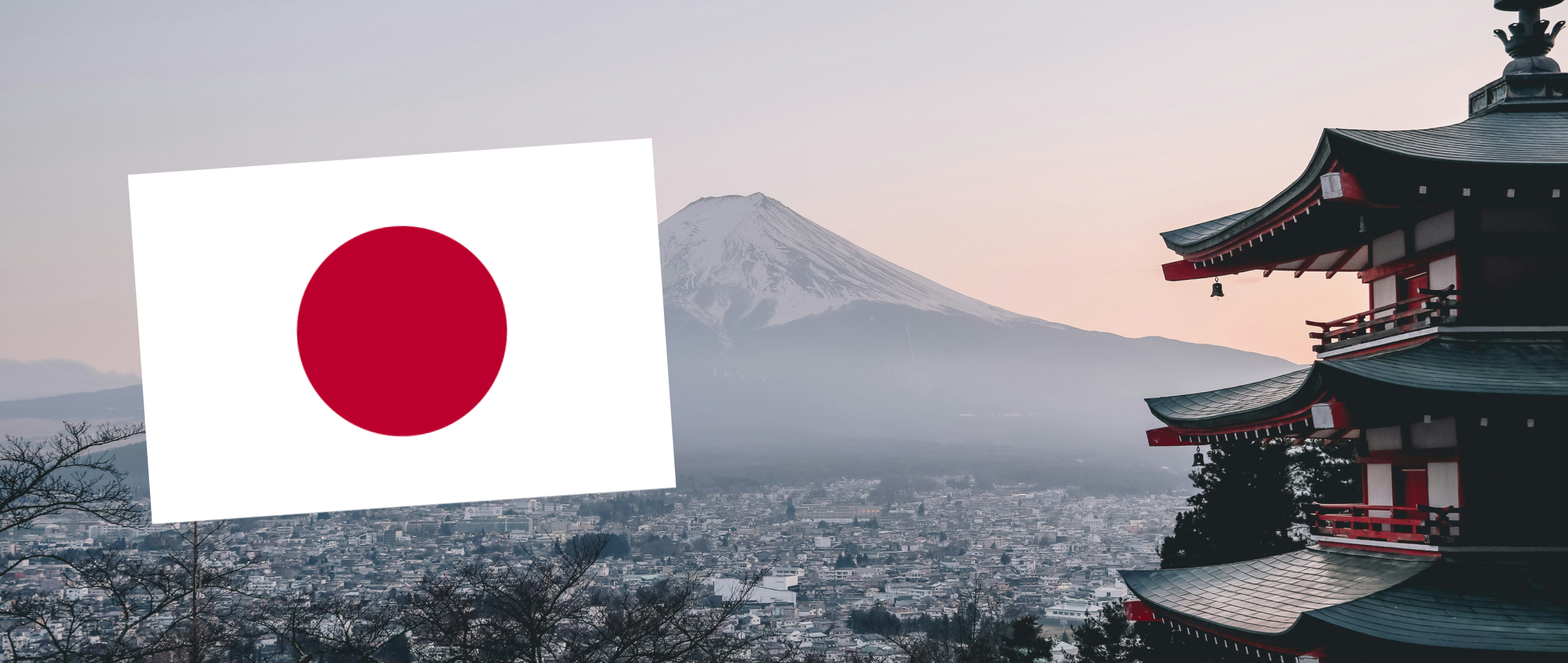 Japan visa from Qatar 