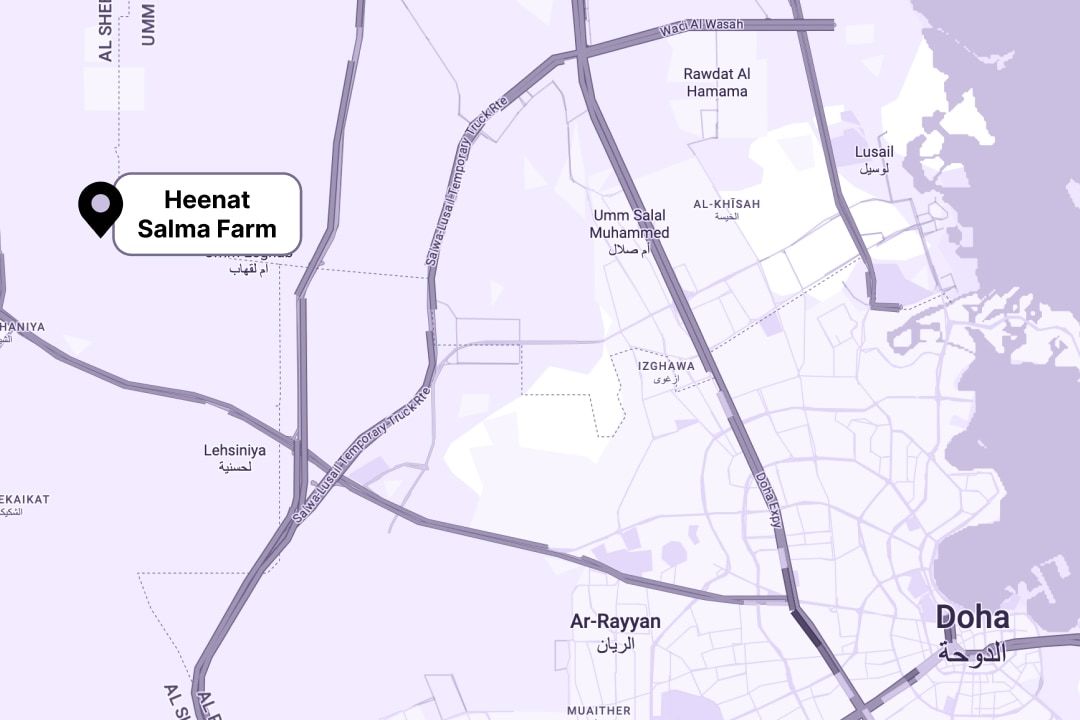 Qatar's Best-Kept Secrets_2.jpg