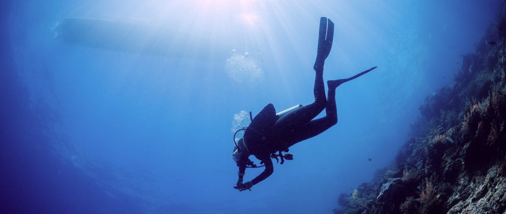 Scuba Diving in Qatar 2
