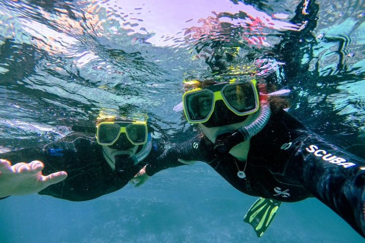 Snorkelling in Qatar