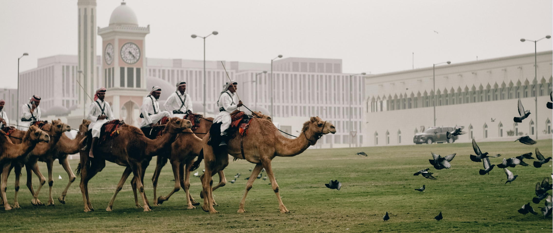 Traveling to Qatar checklist