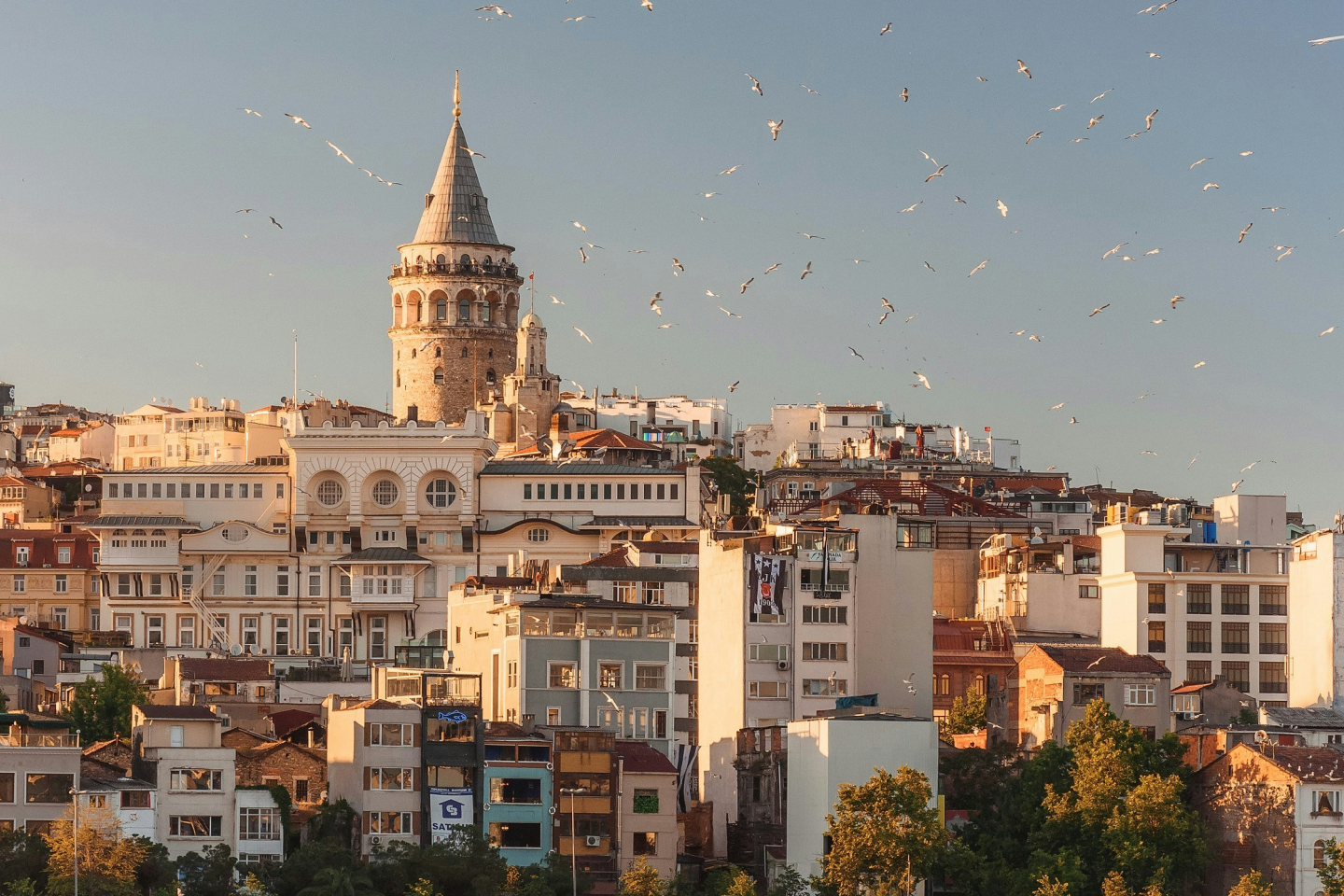 Turkey.png