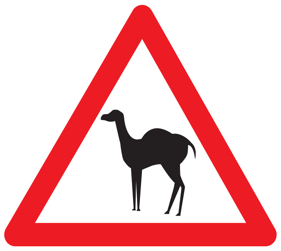 Group 2085663332.png